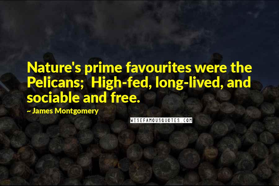 James Montgomery Quotes: Nature's prime favourites were the Pelicans; High-fed, long-lived, and sociable and free.