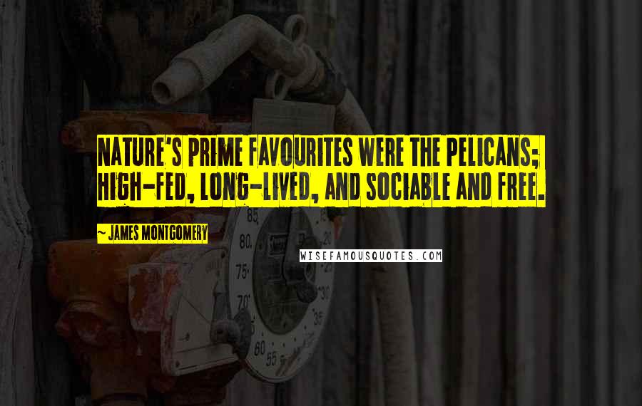 James Montgomery Quotes: Nature's prime favourites were the Pelicans; High-fed, long-lived, and sociable and free.