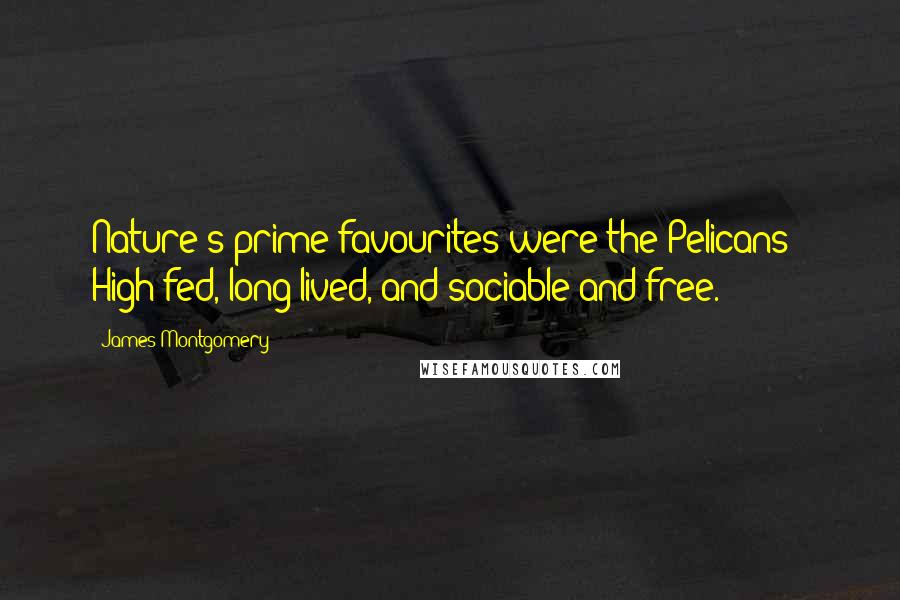 James Montgomery Quotes: Nature's prime favourites were the Pelicans; High-fed, long-lived, and sociable and free.