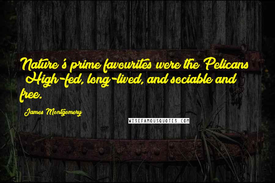 James Montgomery Quotes: Nature's prime favourites were the Pelicans; High-fed, long-lived, and sociable and free.