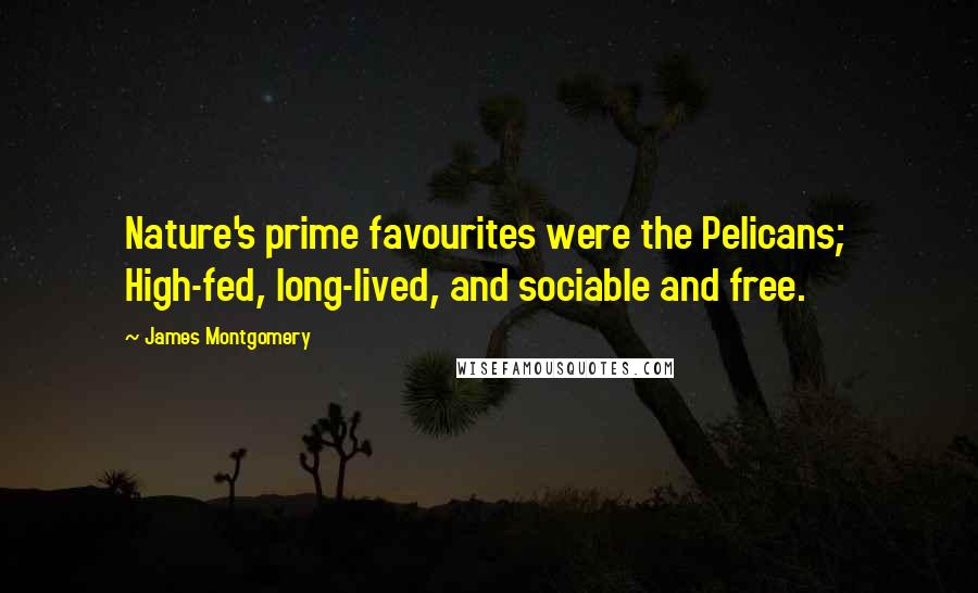 James Montgomery Quotes: Nature's prime favourites were the Pelicans; High-fed, long-lived, and sociable and free.