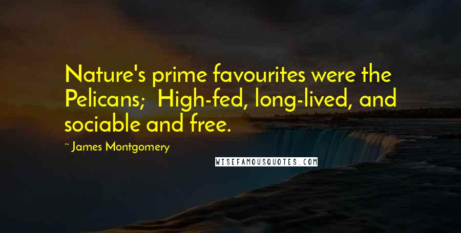 James Montgomery Quotes: Nature's prime favourites were the Pelicans; High-fed, long-lived, and sociable and free.