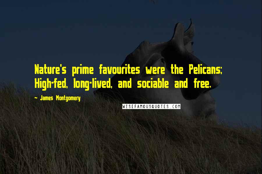 James Montgomery Quotes: Nature's prime favourites were the Pelicans; High-fed, long-lived, and sociable and free.