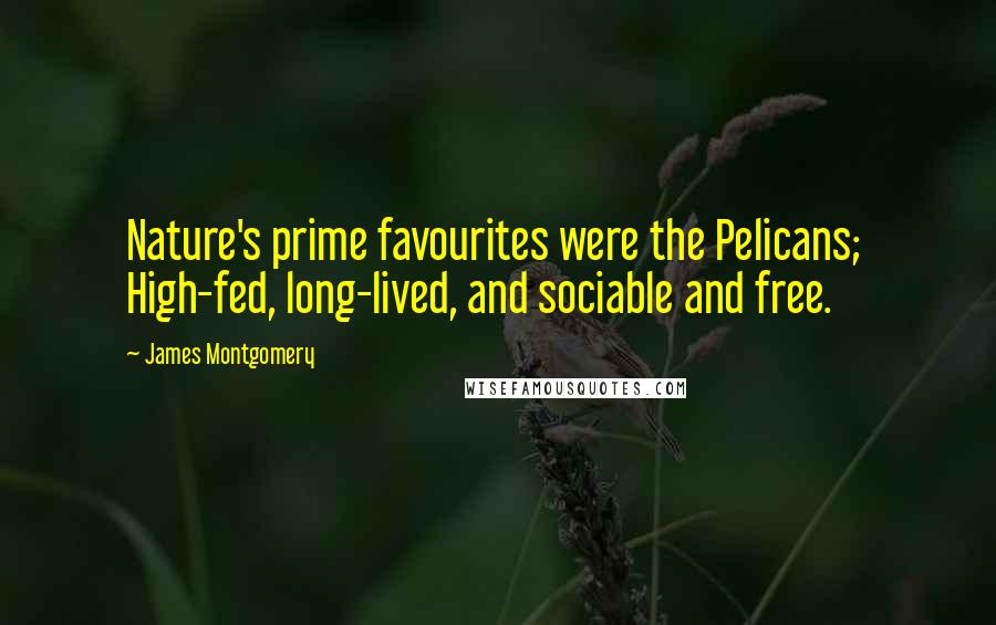 James Montgomery Quotes: Nature's prime favourites were the Pelicans; High-fed, long-lived, and sociable and free.