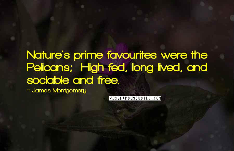 James Montgomery Quotes: Nature's prime favourites were the Pelicans; High-fed, long-lived, and sociable and free.