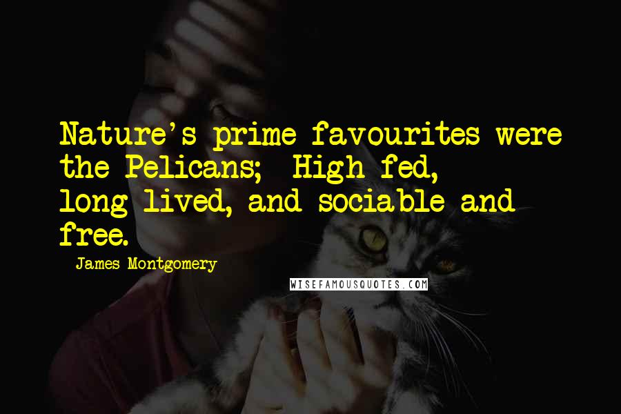 James Montgomery Quotes: Nature's prime favourites were the Pelicans; High-fed, long-lived, and sociable and free.