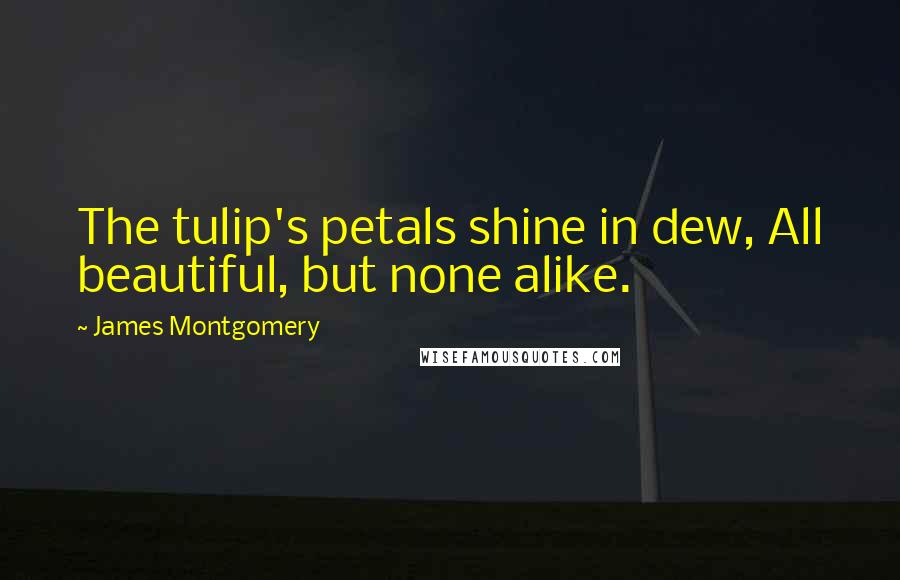 James Montgomery Quotes: The tulip's petals shine in dew, All beautiful, but none alike.