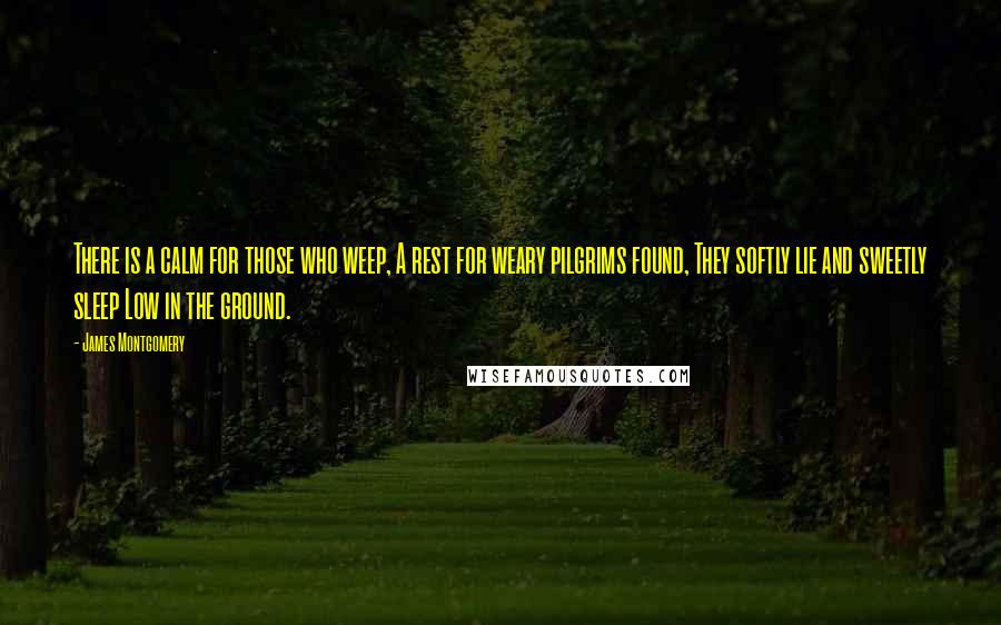 James Montgomery Quotes: There is a calm for those who weep, A rest for weary pilgrims found, They softly lie and sweetly sleep Low in the ground.