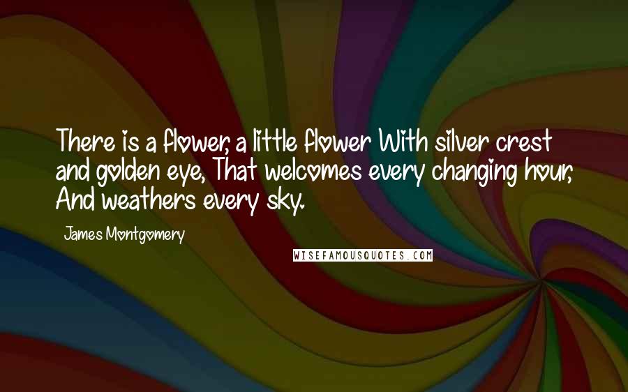 James Montgomery Quotes: There is a flower, a little flower With silver crest and golden eye, That welcomes every changing hour, And weathers every sky.