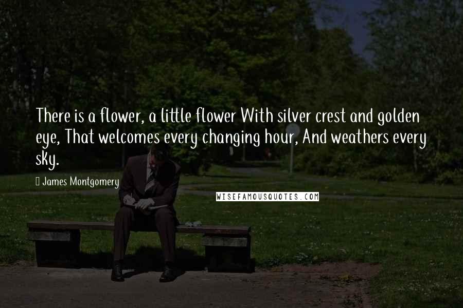 James Montgomery Quotes: There is a flower, a little flower With silver crest and golden eye, That welcomes every changing hour, And weathers every sky.