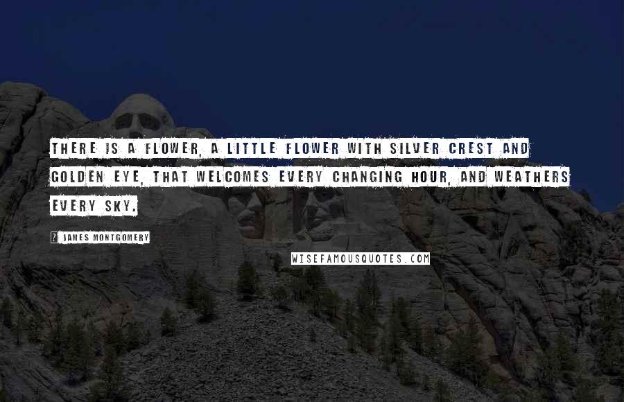 James Montgomery Quotes: There is a flower, a little flower With silver crest and golden eye, That welcomes every changing hour, And weathers every sky.