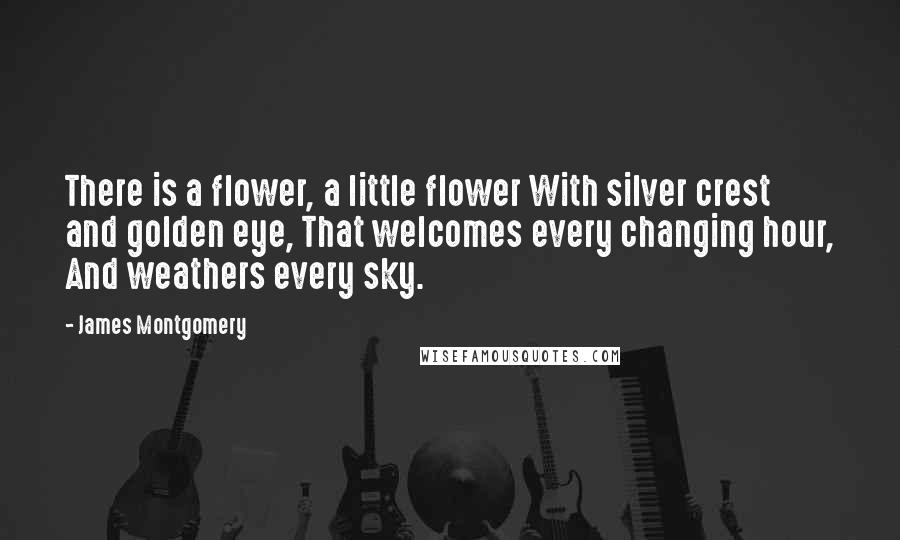 James Montgomery Quotes: There is a flower, a little flower With silver crest and golden eye, That welcomes every changing hour, And weathers every sky.