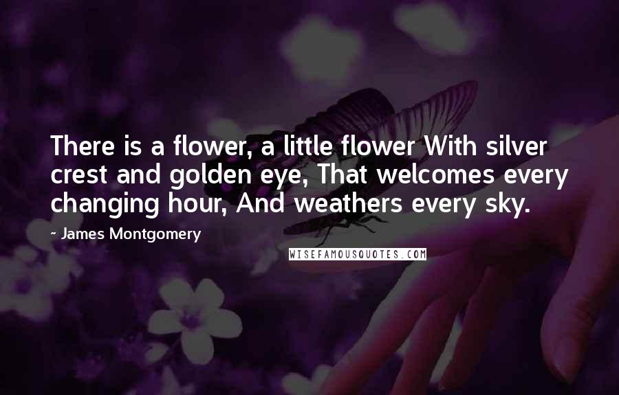 James Montgomery Quotes: There is a flower, a little flower With silver crest and golden eye, That welcomes every changing hour, And weathers every sky.