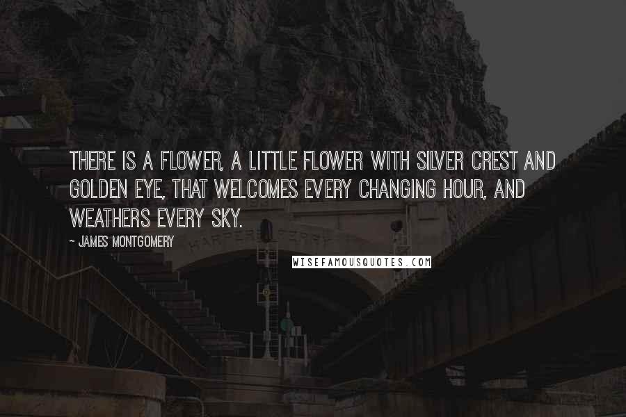 James Montgomery Quotes: There is a flower, a little flower With silver crest and golden eye, That welcomes every changing hour, And weathers every sky.