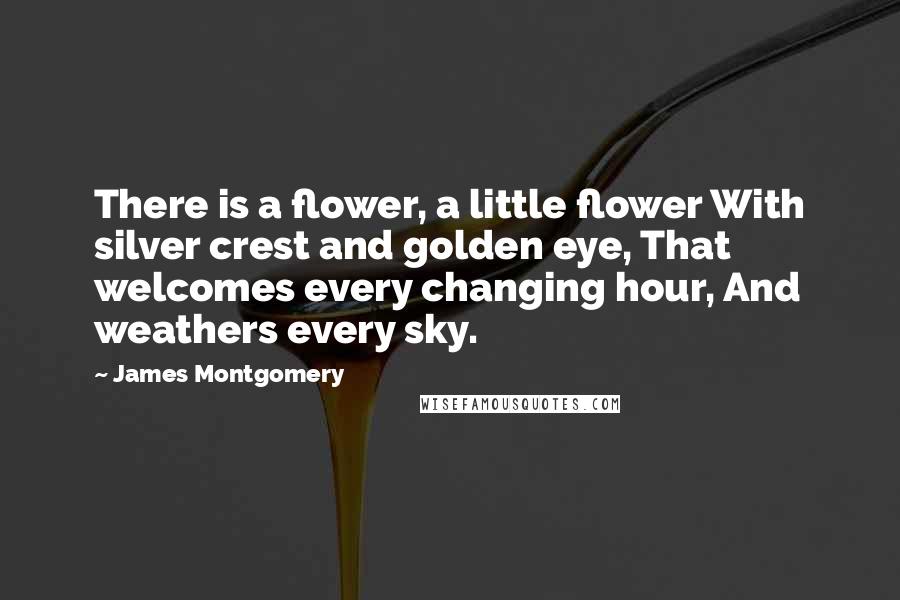 James Montgomery Quotes: There is a flower, a little flower With silver crest and golden eye, That welcomes every changing hour, And weathers every sky.