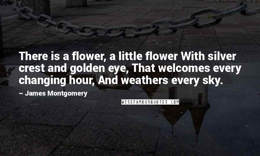James Montgomery Quotes: There is a flower, a little flower With silver crest and golden eye, That welcomes every changing hour, And weathers every sky.
