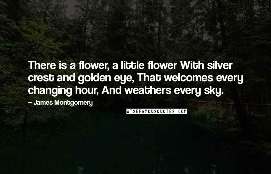 James Montgomery Quotes: There is a flower, a little flower With silver crest and golden eye, That welcomes every changing hour, And weathers every sky.