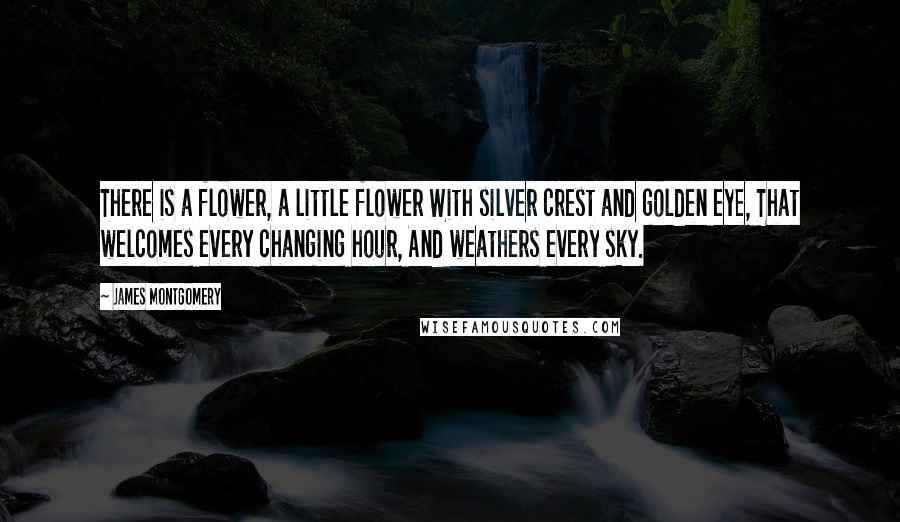 James Montgomery Quotes: There is a flower, a little flower With silver crest and golden eye, That welcomes every changing hour, And weathers every sky.