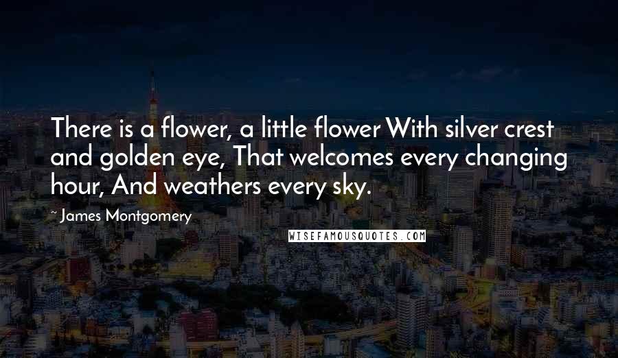 James Montgomery Quotes: There is a flower, a little flower With silver crest and golden eye, That welcomes every changing hour, And weathers every sky.