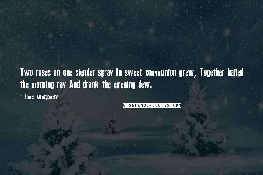 James Montgomery Quotes: Two roses on one slender spray In sweet communion grew, Together hailed the morning ray And drank the evening dew.