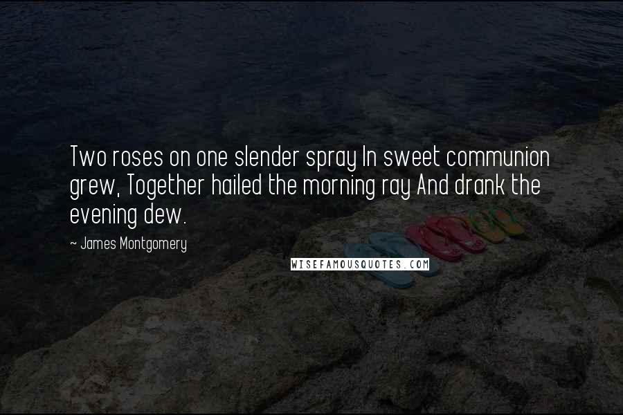 James Montgomery Quotes: Two roses on one slender spray In sweet communion grew, Together hailed the morning ray And drank the evening dew.