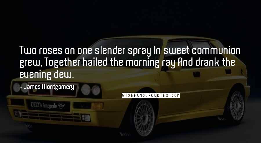 James Montgomery Quotes: Two roses on one slender spray In sweet communion grew, Together hailed the morning ray And drank the evening dew.