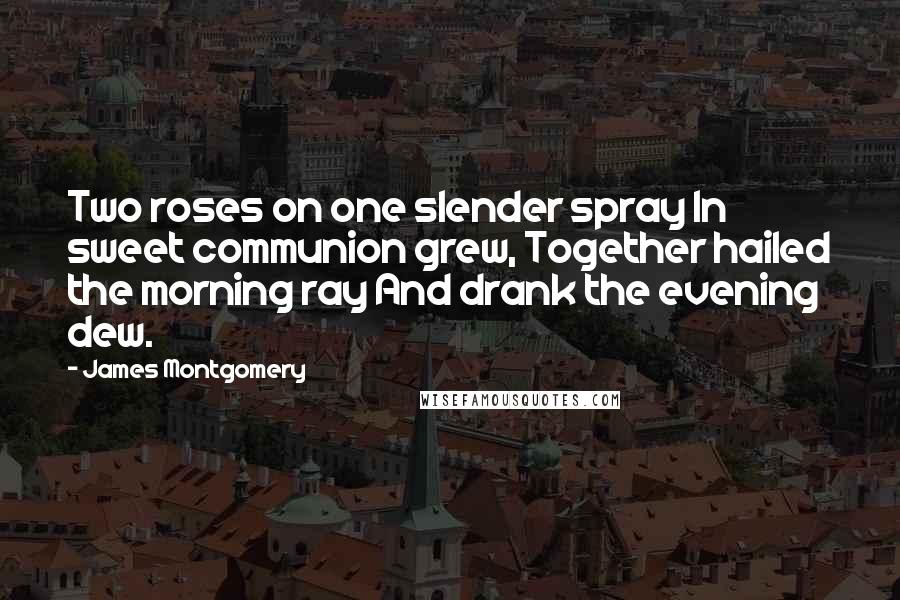 James Montgomery Quotes: Two roses on one slender spray In sweet communion grew, Together hailed the morning ray And drank the evening dew.