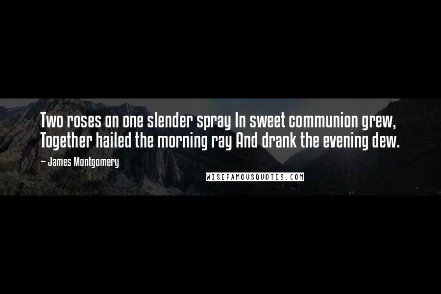 James Montgomery Quotes: Two roses on one slender spray In sweet communion grew, Together hailed the morning ray And drank the evening dew.