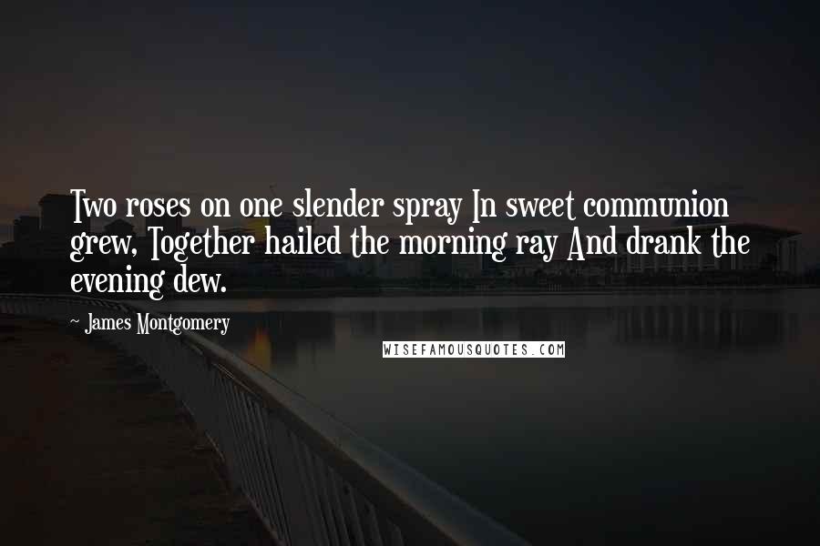 James Montgomery Quotes: Two roses on one slender spray In sweet communion grew, Together hailed the morning ray And drank the evening dew.