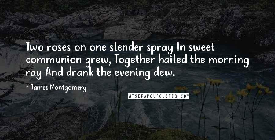 James Montgomery Quotes: Two roses on one slender spray In sweet communion grew, Together hailed the morning ray And drank the evening dew.