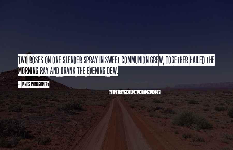 James Montgomery Quotes: Two roses on one slender spray In sweet communion grew, Together hailed the morning ray And drank the evening dew.