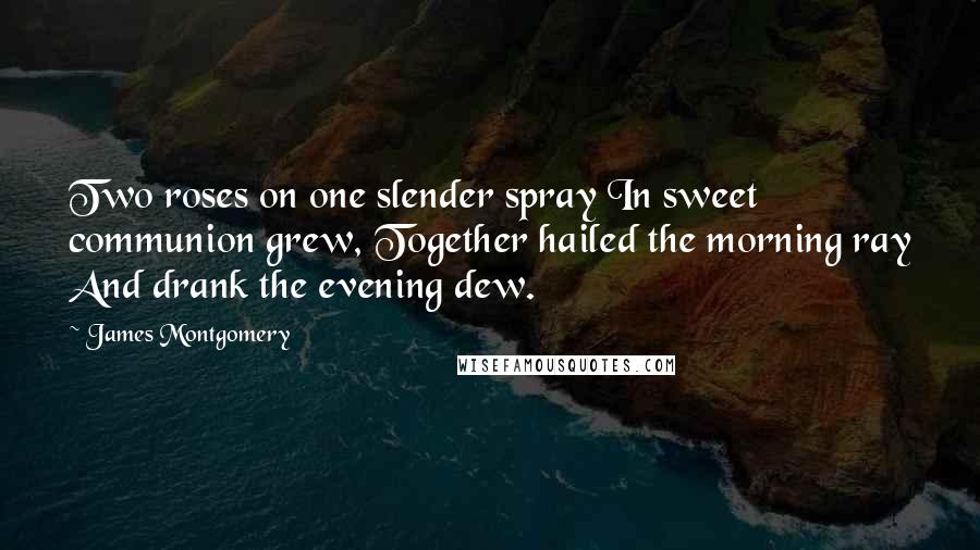 James Montgomery Quotes: Two roses on one slender spray In sweet communion grew, Together hailed the morning ray And drank the evening dew.