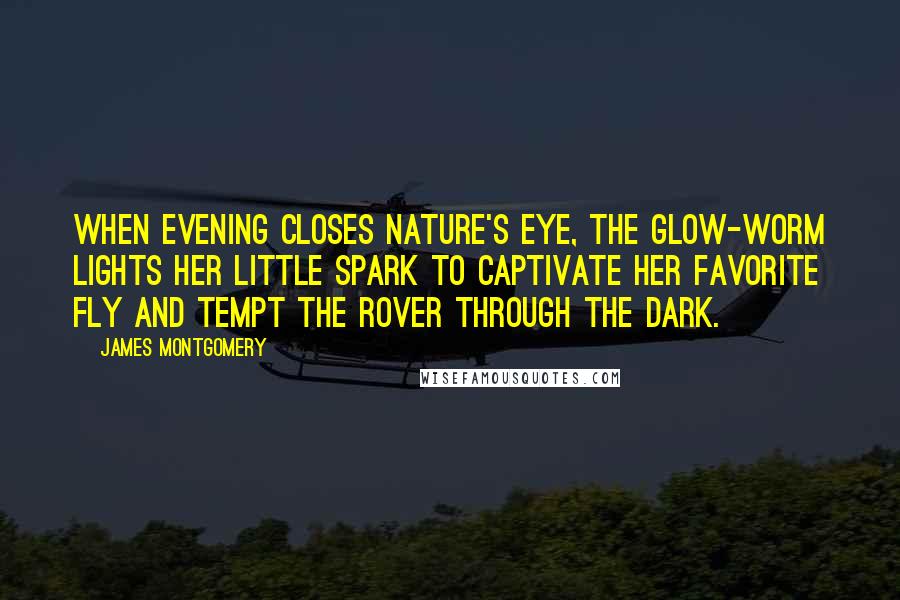 James Montgomery Quotes: When evening closes Nature's eye, The glow-worm lights her little spark To captivate her favorite fly And tempt the rover through the dark.