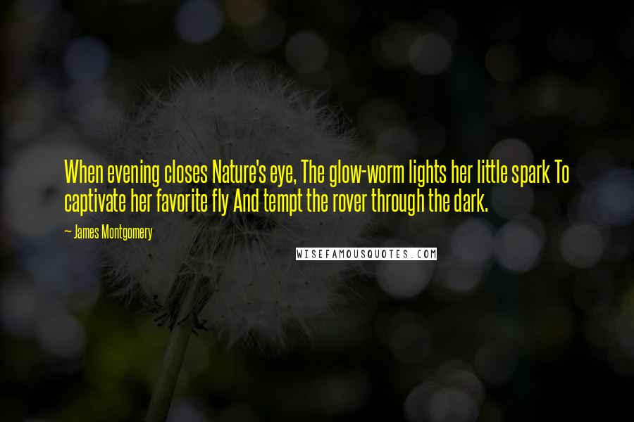 James Montgomery Quotes: When evening closes Nature's eye, The glow-worm lights her little spark To captivate her favorite fly And tempt the rover through the dark.