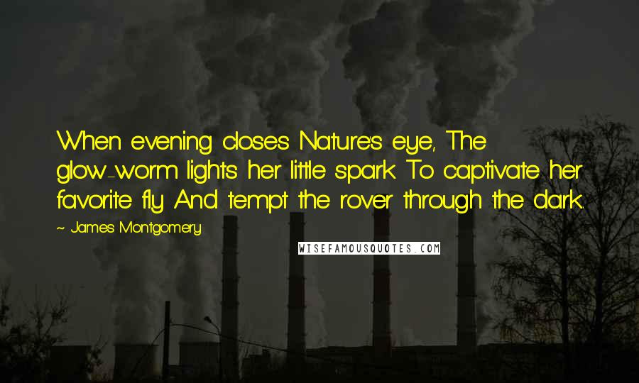 James Montgomery Quotes: When evening closes Nature's eye, The glow-worm lights her little spark To captivate her favorite fly And tempt the rover through the dark.