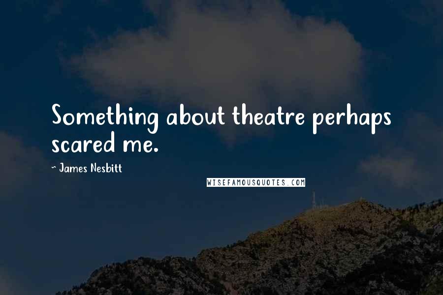 James Nesbitt Quotes: Something about theatre perhaps scared me.