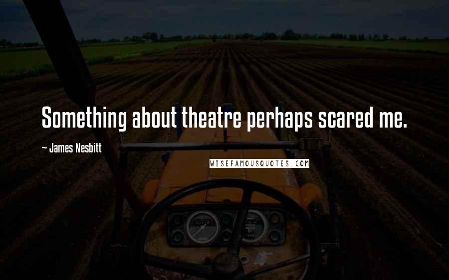 James Nesbitt Quotes: Something about theatre perhaps scared me.