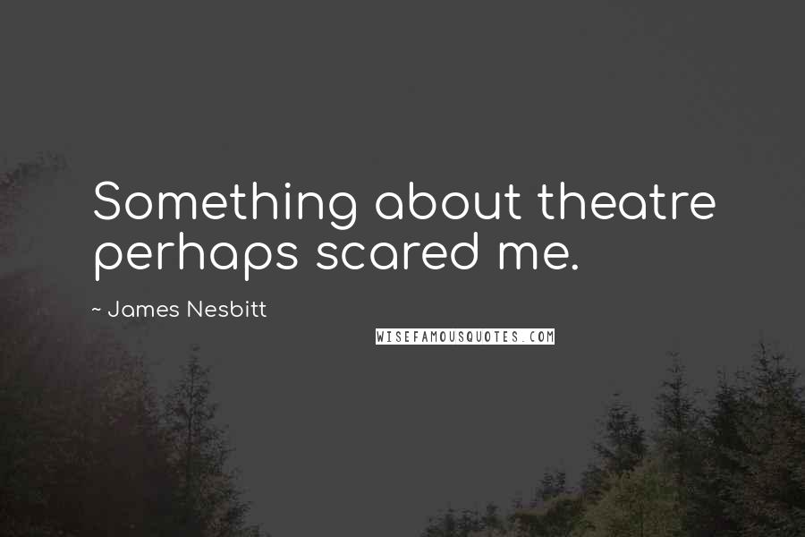 James Nesbitt Quotes: Something about theatre perhaps scared me.
