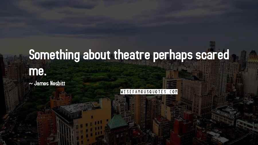 James Nesbitt Quotes: Something about theatre perhaps scared me.