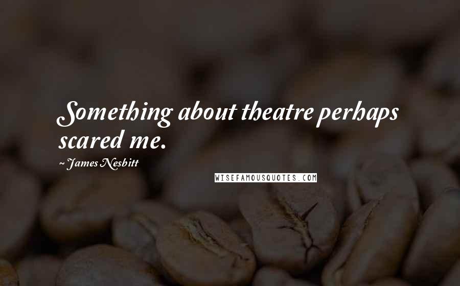 James Nesbitt Quotes: Something about theatre perhaps scared me.