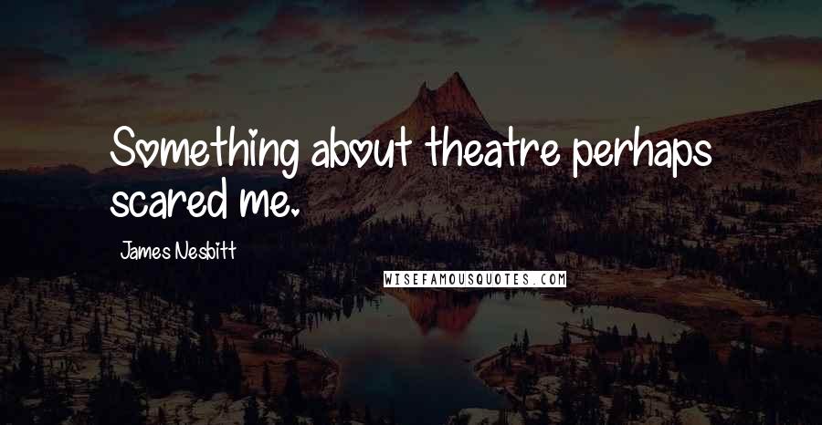 James Nesbitt Quotes: Something about theatre perhaps scared me.