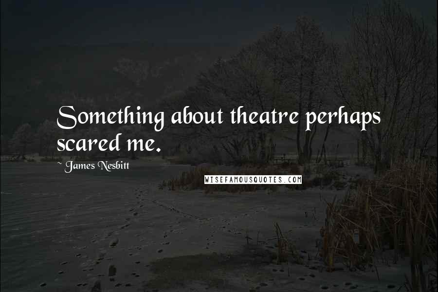 James Nesbitt Quotes: Something about theatre perhaps scared me.
