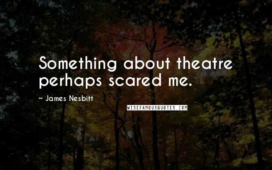 James Nesbitt Quotes: Something about theatre perhaps scared me.