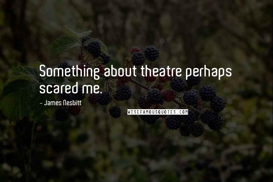 James Nesbitt Quotes: Something about theatre perhaps scared me.