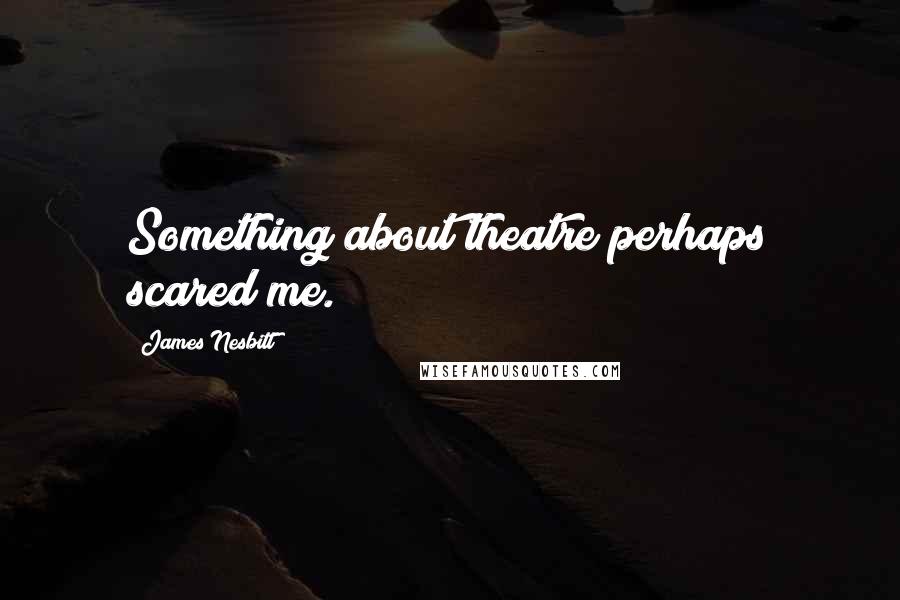 James Nesbitt Quotes: Something about theatre perhaps scared me.