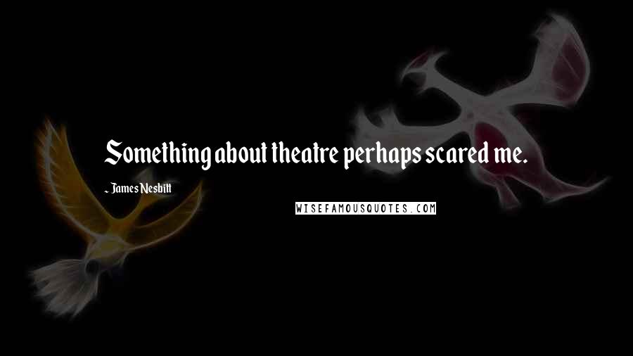 James Nesbitt Quotes: Something about theatre perhaps scared me.