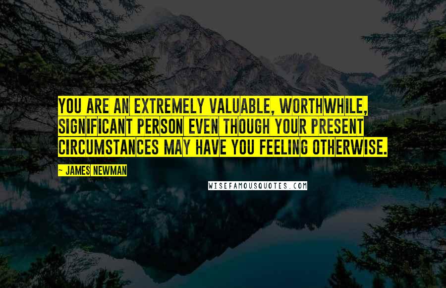 James Newman Quotes: You are an extremely valuable, worthwhile, significant person even though your present circumstances may have you feeling otherwise.