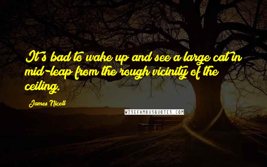 James Nicoll Quotes: It's bad to wake up and see a large cat in mid-leap from the rough vicinity of the ceiling.