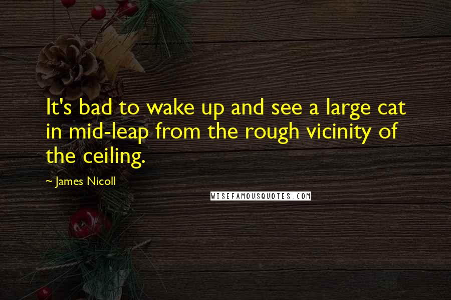 James Nicoll Quotes: It's bad to wake up and see a large cat in mid-leap from the rough vicinity of the ceiling.