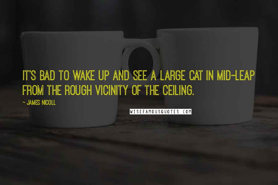 James Nicoll Quotes: It's bad to wake up and see a large cat in mid-leap from the rough vicinity of the ceiling.